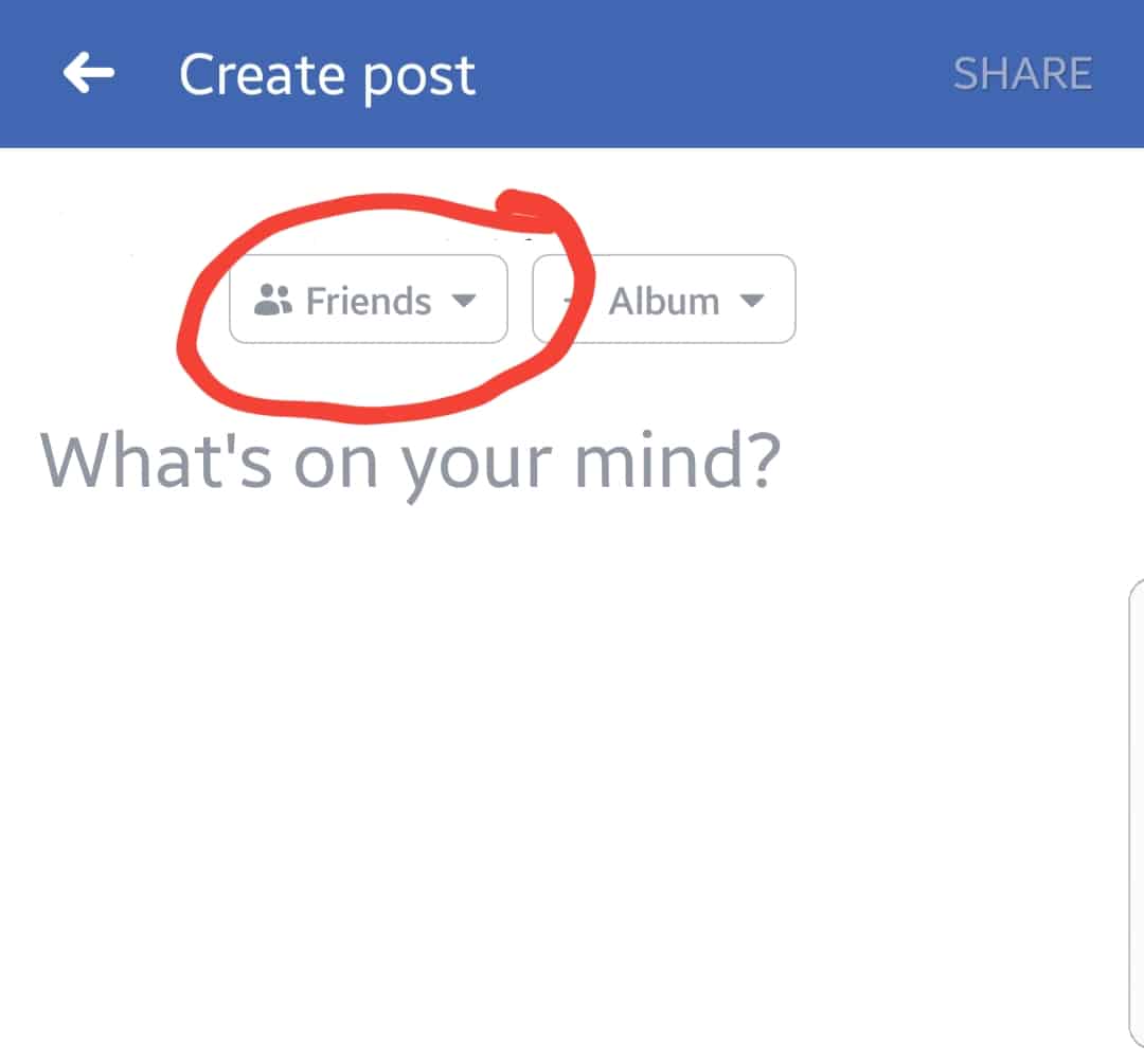 Facebook screenshot of new post screen, with button circled in red to press in order to change privacy settings