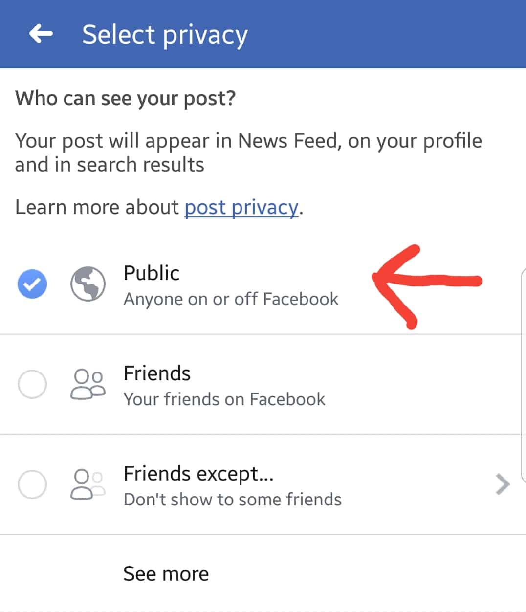 Facebook Screenshot to show which option to select to set the post to 'public'